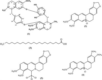 Spectral, Anti-Inflammatory, Anti-Pyretic, Leishmanicidal, and Molecular Docking Studies, Against Selected Protein Targets, of a New Bisbenzylisoquinoline Alkaloid